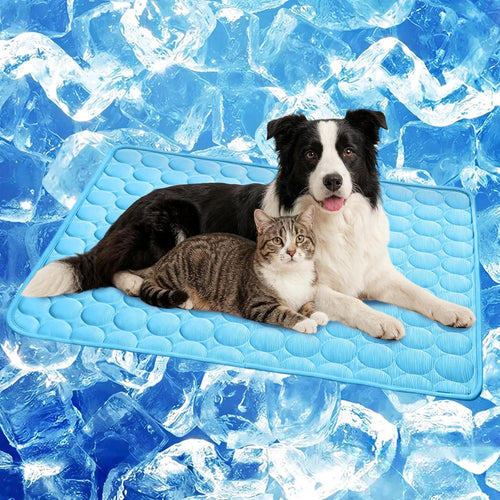 Alfombra Refrescante para Perros y Gatos — Sin Agua, Antideslizante, Azul M