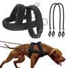 Harness Leash Set