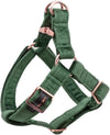 X-Small (Pack Of 1)