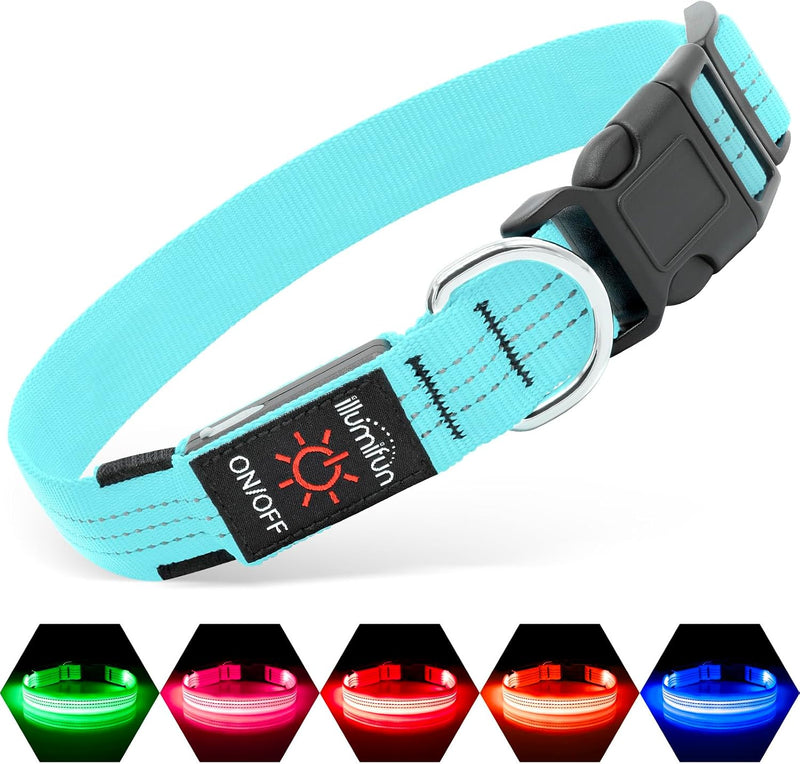 Collar LED Recargable USB para Perros — Paseos Nocturnos, Azul, Talla M