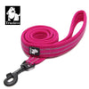 Fuchsia (1052_361385)