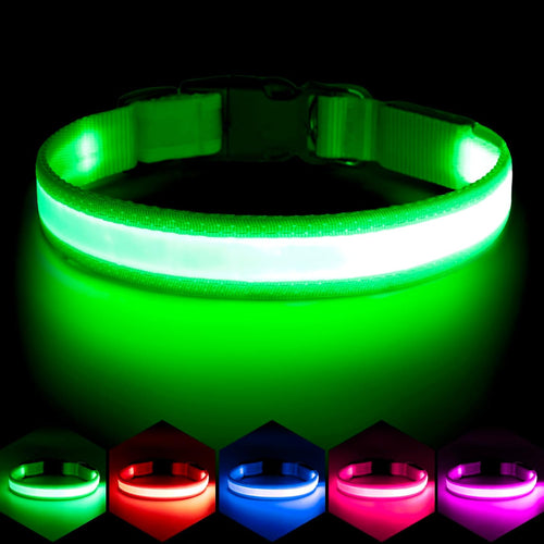 Collar LED para Perros — Seguridad Nocturna, Ajustable, Brilla en la Oscuridad