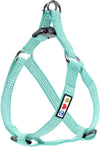 X-Small (Pack Of 1)