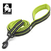 Neon Yellow (175_361385)