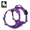 Purple (100006363_100014066)