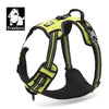 Neon Yellow (175_100014064)