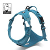 Blue (173_100014066)