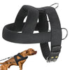 Harness