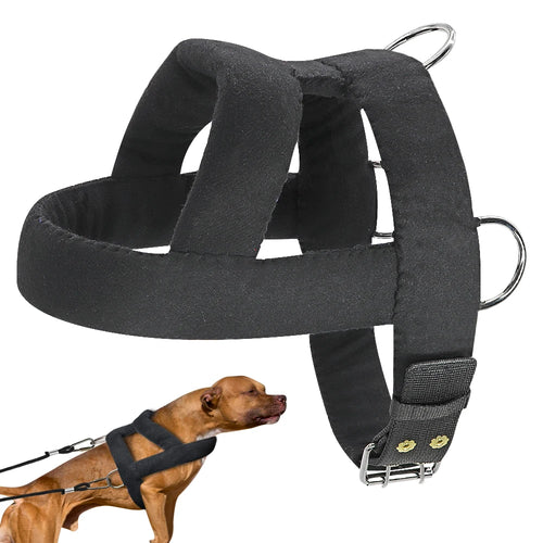 Arnés para Perros sin Tirones — Ajustable, Acolchado, Entrenamiento