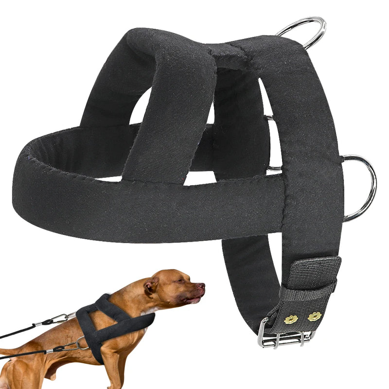 Arnés para Perros sin Tirones — Ajustable, Acolchado, Entrenamiento