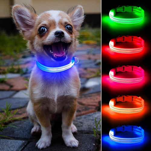 Collar LED Recargable para Perros y Gatos — Azul Royal, Seguridad Nocturna