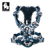 Saxony Blue (173_100014064)